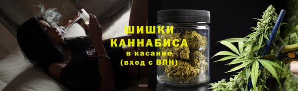 spice Алзамай